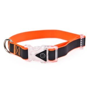 LED+Colorful Reflective Collar