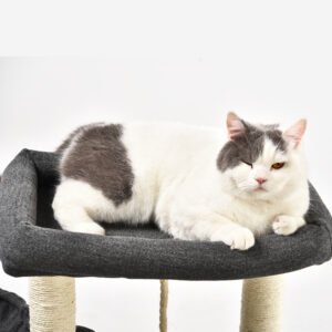 Pet Cat Nest Black Grey Cat Stand