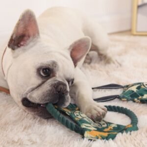 Interactive bite resistant toy